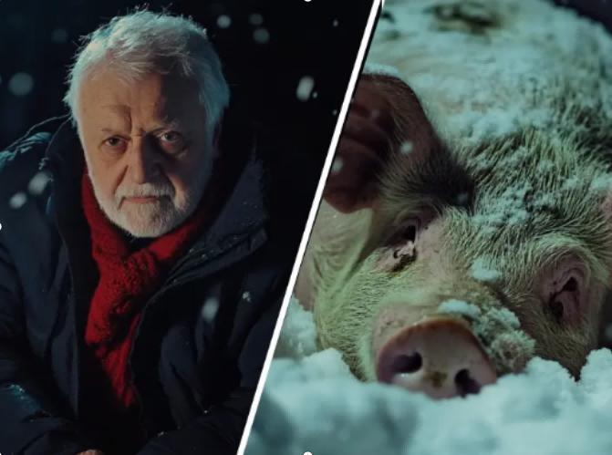 Un homme découvre un cochon en train de geler pendant une tempête de neige — mais il découvre ensuite qu’il n’était pas seul